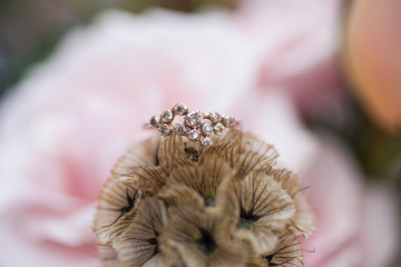 Ring on Flowers