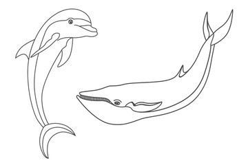Set marine mammals. © Volodymyr Vechirnii