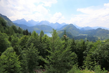 The picturesque foothills of the Alps, the lake surrounded with the low rocks overgrown with the dense wood.