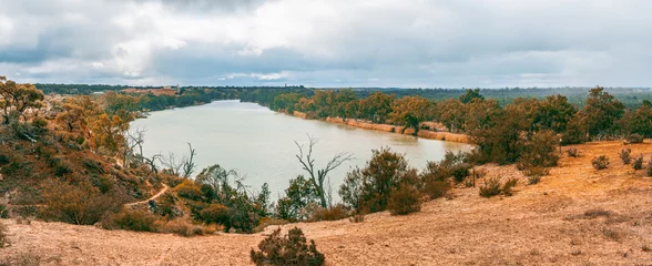 Keuken spatwand met foto Large panorama of Murray river and eucalyptuses. Berri, South Australia © Greg Brave