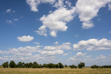 Arkansas Countryside