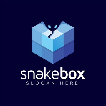 Snake box logo icon vector template