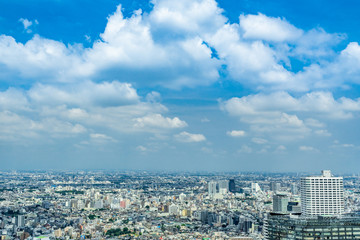 都市風景　東京　夏の市街地