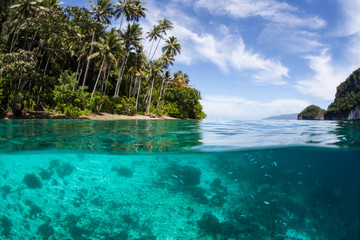 Clear Water and Remote Beach in Raja Ampat