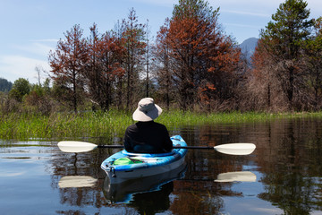 Kayaking in Harrison River during a beautiful and vibrant summer day. Located East of Vancouver,...