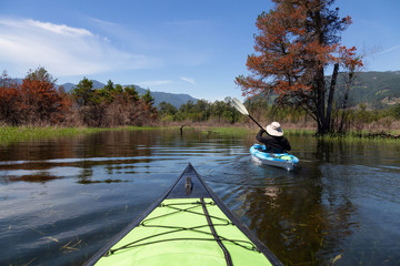 Kayaking in Harrison River during a beautiful and vibrant summer day. Located East of Vancouver,...