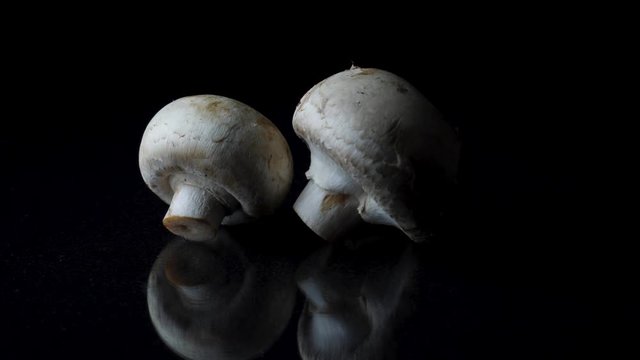 Champignons on black background. Frame. Whole mushrooms rotating on black mirror background. Close up of delicious white mushrooms on black background.