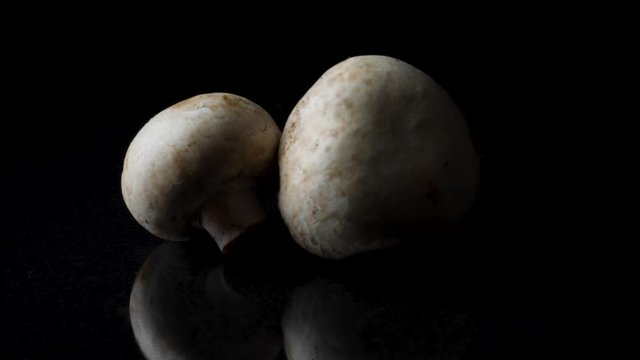 Champignons on a black background. Frame. Two mushrooms isolated on black reflective background.