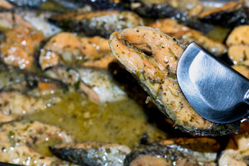  salmon with fine herbs