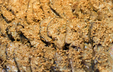  garlic sirloin