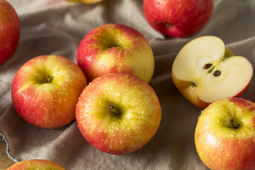 Raw Red Organic Honeycrisp Apples