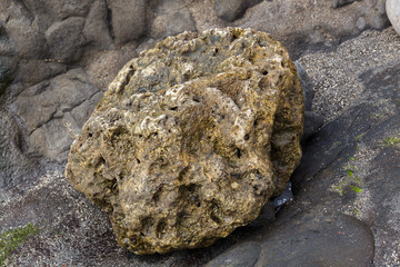 Image of a single rock formation, brown in color with very bumpy weathered texture. Boulder is sitting on a stone ground surface with small rocks in background.