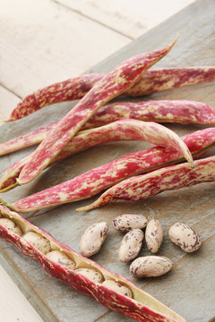 berlotti beans