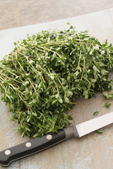 fresh herb thyme