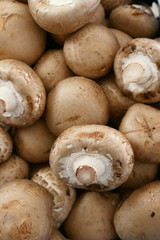 brown chestnut closed cup mushrooms