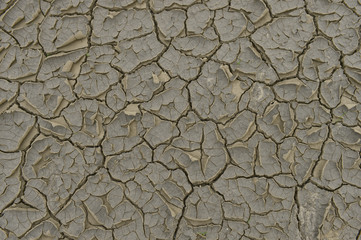 The parched soil