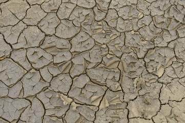 The parched soil