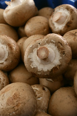 brown chestnut closed cup mushrooms