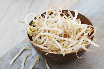frsh bean sprouts