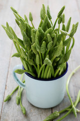 preparing wild asparagus