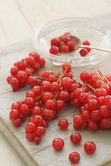 preparing fresh redcurrants