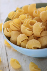 fresh uncooked pasta