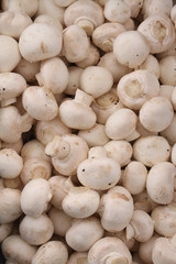 fresh uncooked mushrooms