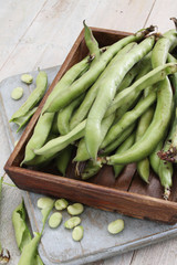 preparing fresh broad beans