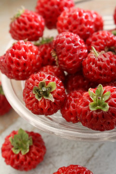 strasberry fruit
