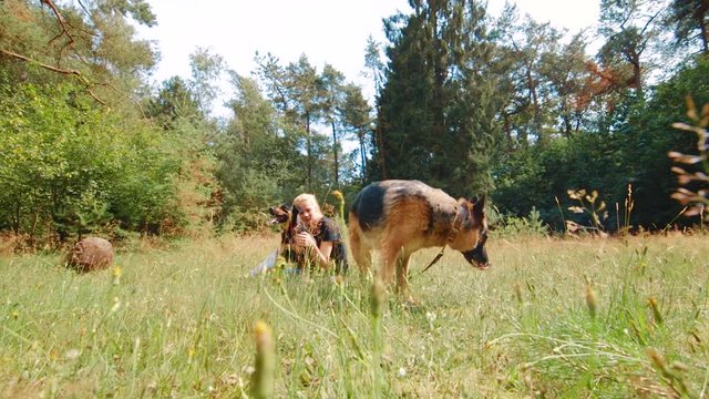 Clip of a girl while playing with westpointer and German Shepherd in a field.