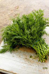 fresh dill bunch