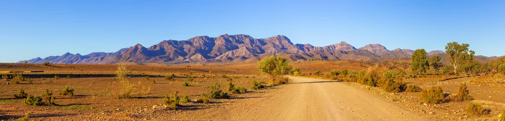 Papier Peint photo Ciel bleu Route de campagne de gravier menant aux pics escarpés des montagnes Flinders Ranges en Australie du Sud