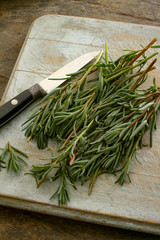 coastal herbs sea rosemary