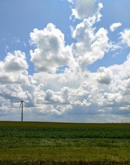 Fototapeta na wymiar Single windmill in a field