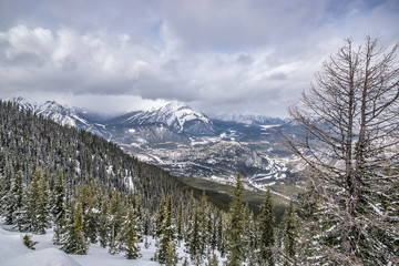 Wide angle view at Banff National Park, standing in front of  spruce trees looking out the the mountain view with snow covered peaks and grey cloudy skies.