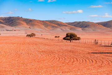 Fototapeta na wymiar Rolling hills and plowed field in South Australia