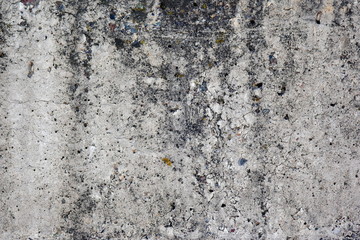 Grey grunge textured wall. cracks and mold on the surface