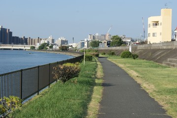 歩行者　自転車専用道路