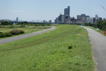 歩行者　自転車専用道路