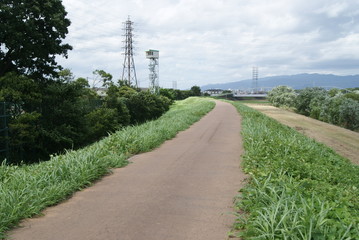 歩行者　自転車専用道路