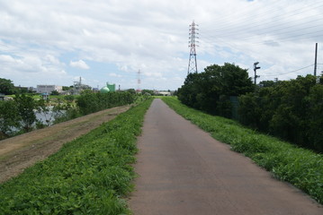 歩行者　自転車専用道路