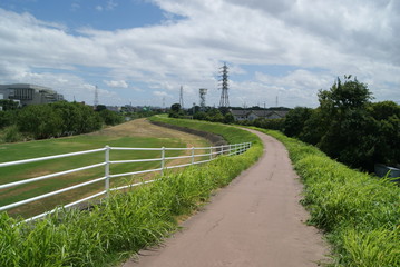 歩行者　自転車専用道路