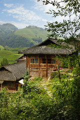 Fototapeta na wymiar Traditional chinese house in the middle of rice filed terrace in the countryside of china