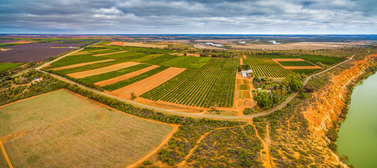 Aerial panorama of agricultural fields near Murray River in Murtho, Riverland, Australia