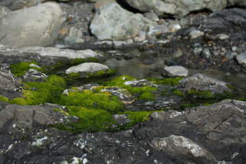 Naklejka na ściany i meble Mossy stones and rocks in water