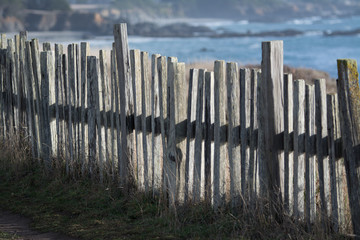 Obraz premium Old gray wooden fence on coast