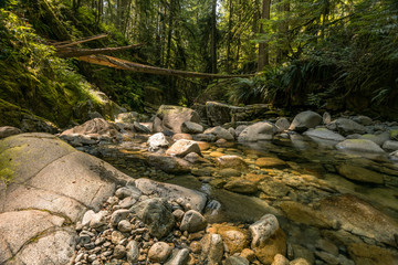 water rushing through the cracks of the rocks in the creek inside forest