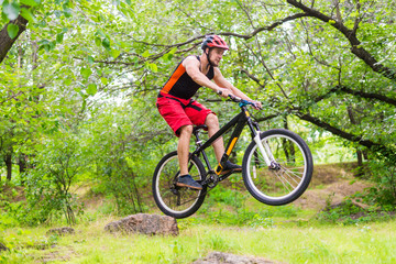 Fototapeta na wymiar Extreme cycling, a cyclist jumping on a mountain bike.