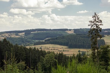 Ausblick vom Harfeld in Bad Berleburg