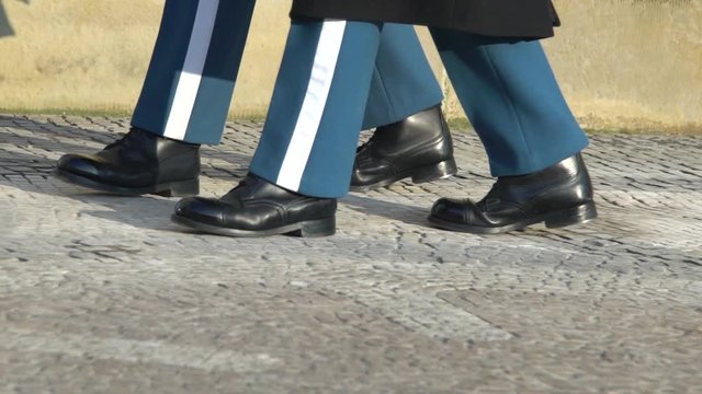 Foot steps of Danish guards